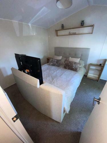 Trecco Bay Acorns 22