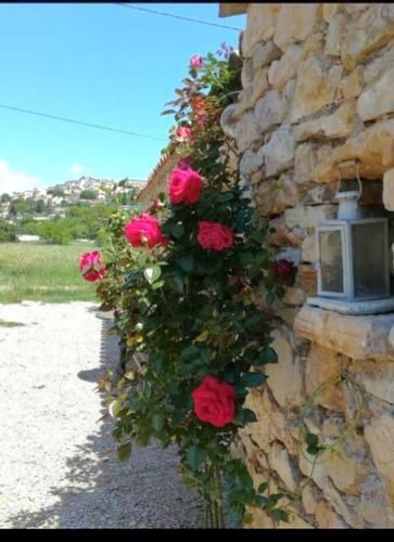 Bed & Breakfast Douce Campagne