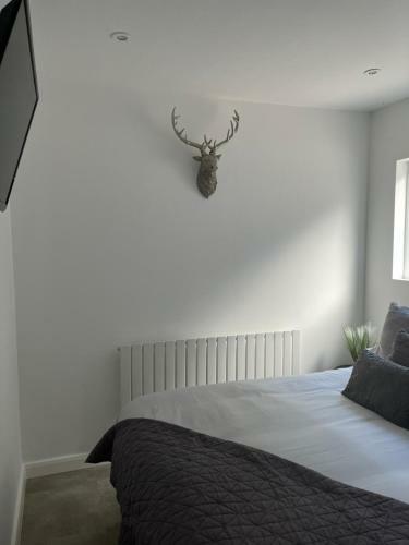 Terfyn Hall Holiday Apartment 2