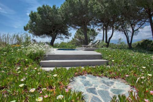 Villa D'architecte Pieds Dans L'eau 800m Parc Galea