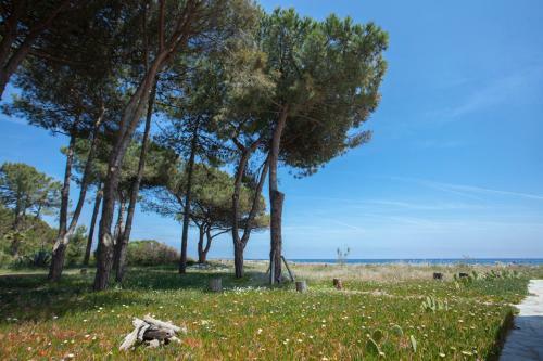 Villa D'architecte Pieds Dans L'eau 800m Parc Galea