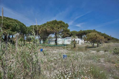 Villa D'architecte Pieds Dans L'eau 800m Parc Galea
