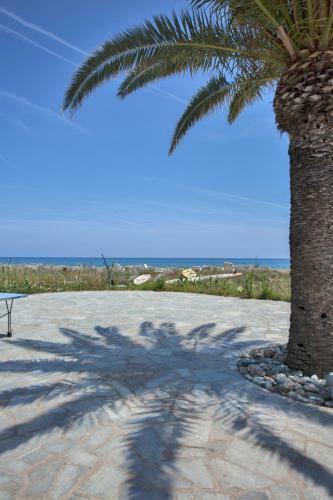Villa D'architecte Pieds Dans L'eau 800m Parc Galea