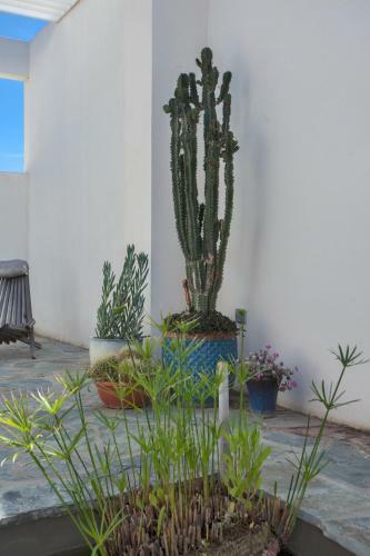 Villa D'architecte Pieds Dans L'eau 800m Parc Galea