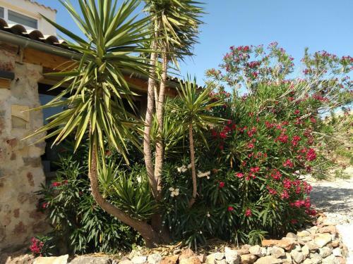 Villa Bergerie Eco Dans La Nature