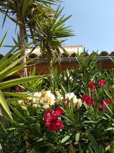 Villa Bergerie Eco Dans La Nature