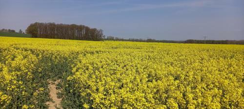 Apartamento Ferienhof Mit Bergblick