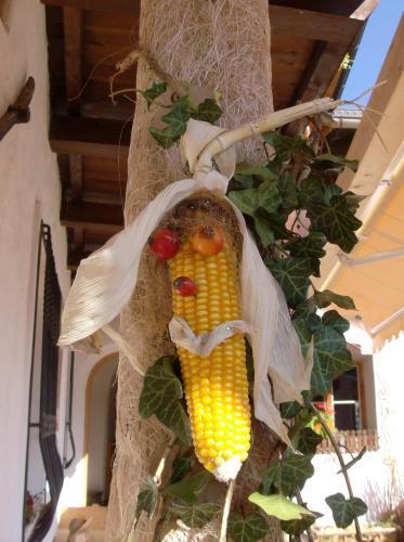 Agroturismo Hofer Hof