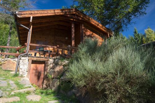Camping Village Yolki Palki