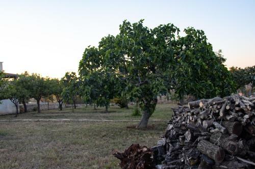 La Campagna Di Gisella