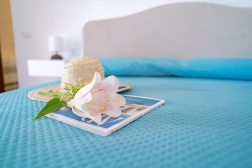 Casa Lal� - Rustic Apartment With Stunning Views
