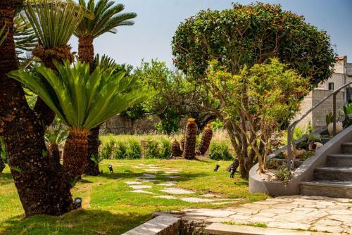 Bed & Breakfast Villa Barone