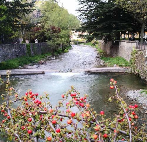 Apartamento Els Verns
