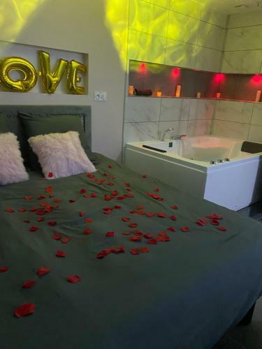 Apartamento Lov?spa