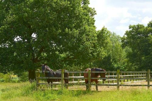 Shepherds Spring Cottages