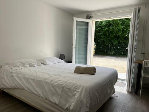 Apartamento Au Coeur Des Chateaux De La Loire