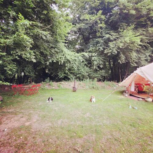 Delightfully Quirky Bell Tent For 2