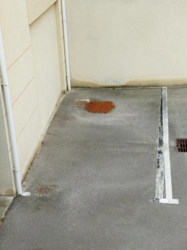 Apartamento Le Floride B04