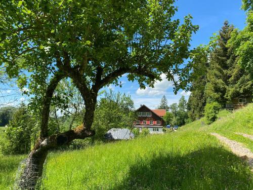 Apartamento Wundersch�nes Loft In Alleinlage