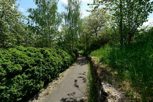 Apartamento Der Eifel Perle Manderscheid