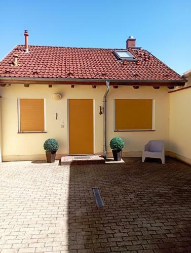 Seestern - A68954