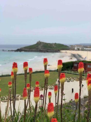 Hostal Entire Home In St Ives With Off Road Parking
