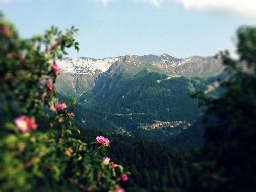 Unique Two-bedroom Chalet, 180� Degrees View