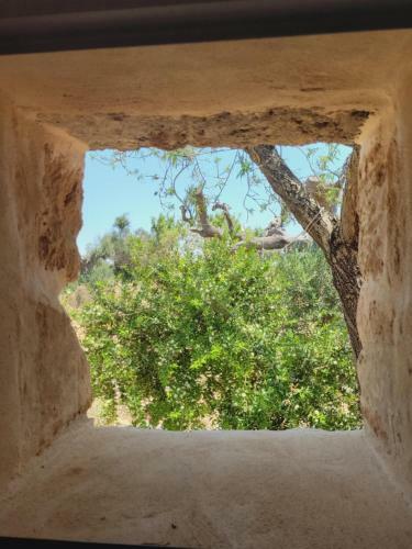 Trullo Dei Beneficati