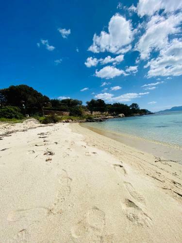 Appartamento A Pochi Passi Dalla Spiaggia