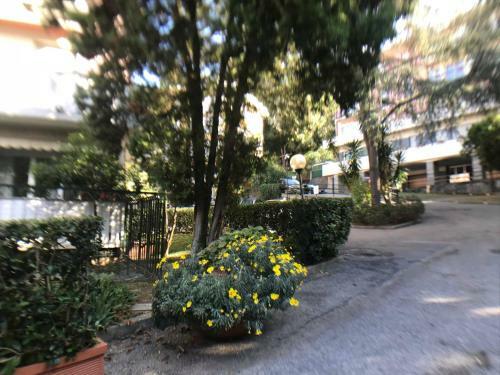 Apartamento Appartamento Del Golf