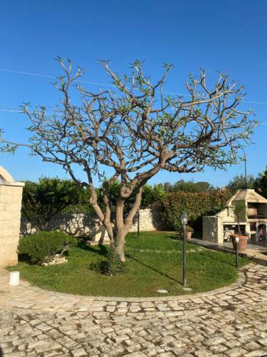 Villa Rosetta