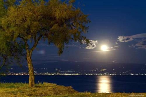 A Due Passi Dal Mare