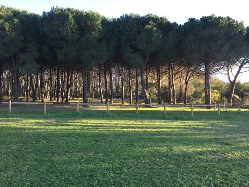 Apartamento Podere La Grande Quercia