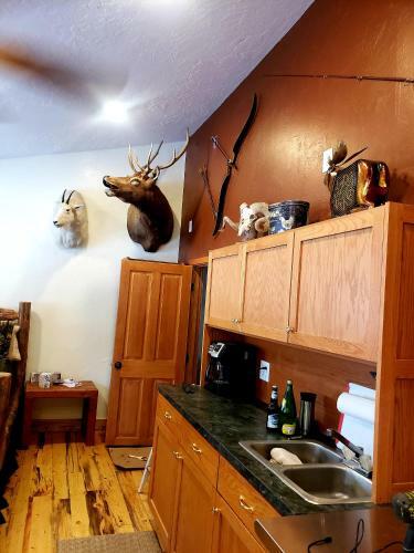 Agroturismo The Bugling Elk