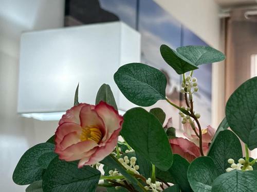 Apartamento Seis Caracoles