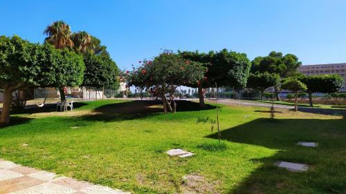 Apartamento Con Terraza En La Playa