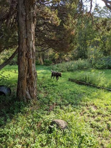 Magical Paradise Valley Hideout Nr Yellowstone Np