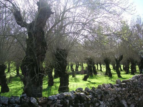 Agroturismo Sierras Y Valles