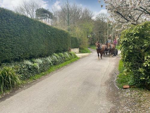 May's Cottage