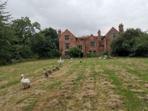 Bed & Breakfast Old Manor House