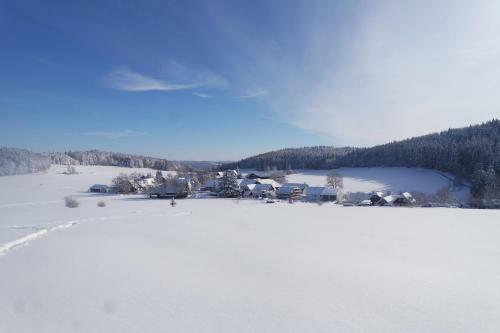 Alb Chalet