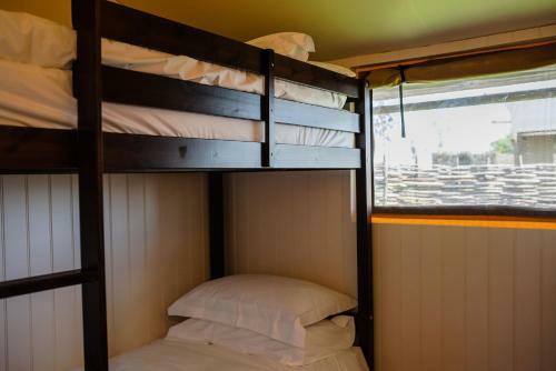 Hencote Vineyard Glamping Village
