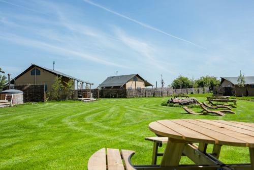 Hencote Vineyard Glamping Village