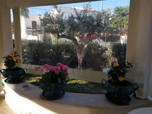Athena Bed &amp; Breakfast