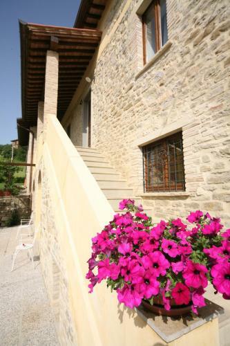 Agroturismo Borgo Di Cortolla
