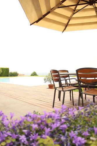 B&B Belvedere