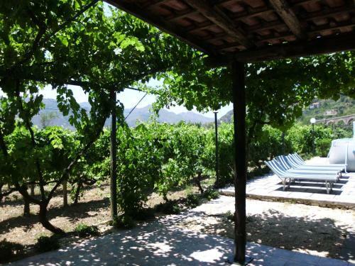 Villa Il Vigneto
