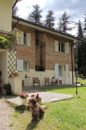 B&B Mama R�