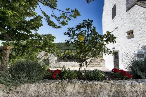 Bed & Breakfast Masseria Mazzalorsa