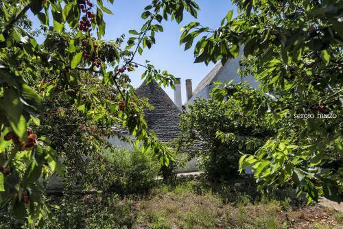 Bed & Breakfast Masseria Mazzalorsa